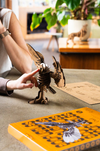 Owl Puzzle
