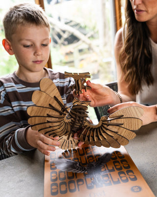Owl Puzzle
