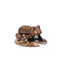 Frog Puzzle
