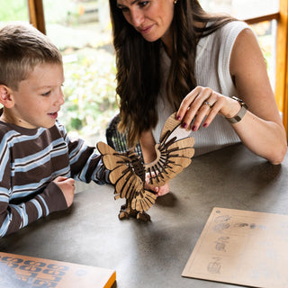 Owl Puzzle