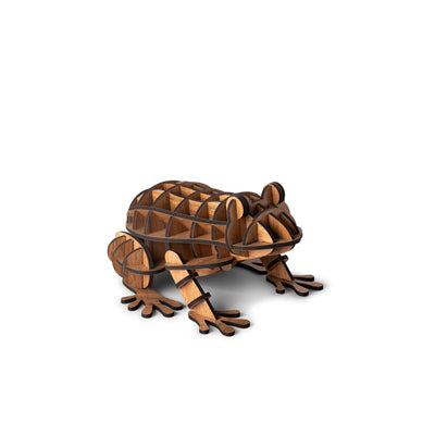 Frog Puzzle