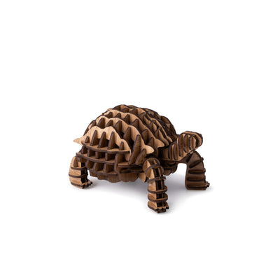 Tortoise Puzzle
